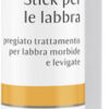 Lippenverzorgingstift 4,9 gram Hauschka