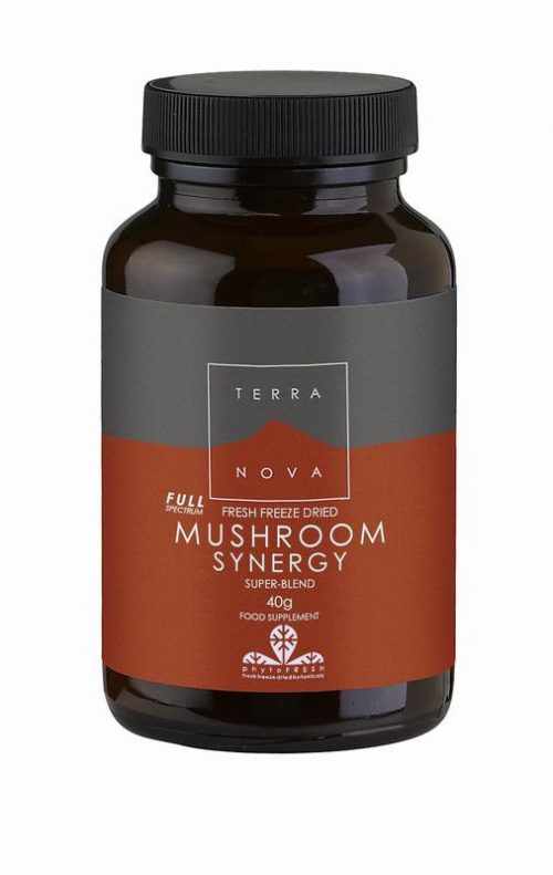 Mushroom synergy super blend 40 gram Terranova