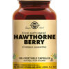 Hawthorne Berry 100 stuks Solgar