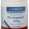Pijnboombast extract (Pycnogenol 40 mg) 60 vegicapsules Lamberts