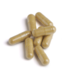 Glycozyme forte 90 capsules Biotics