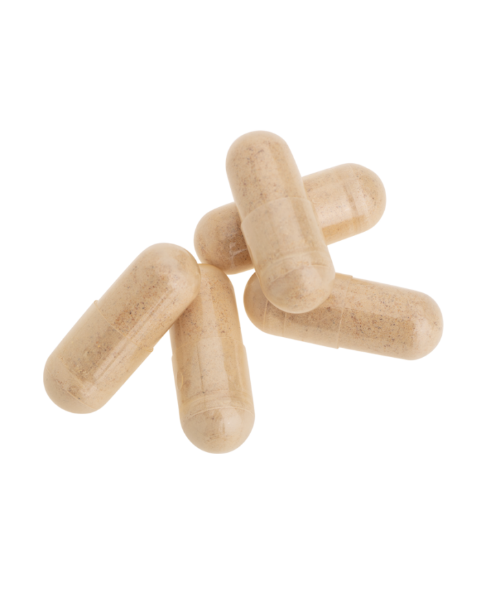 MACA 60 capsules Biotics