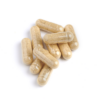 Protect plus 90 capsules Biotics
