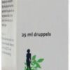 Apocynum cannabinum D4 20 ml VSM