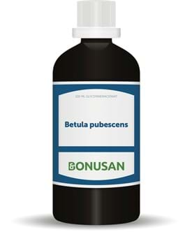 Betula pubescens 100 ml Bonusan