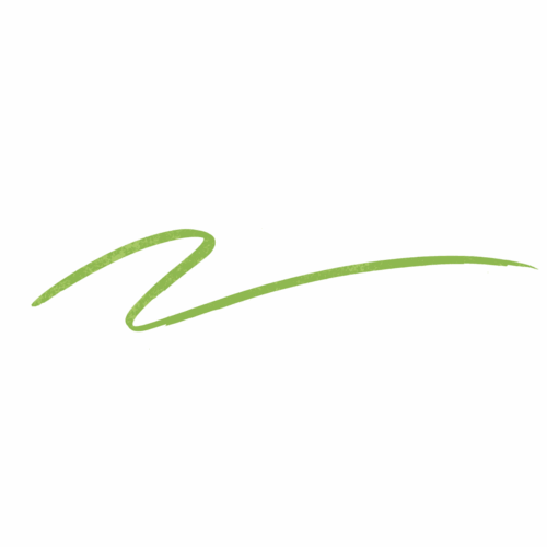 Liquid Eye Liner Lime Time 4 ml Make up Factory