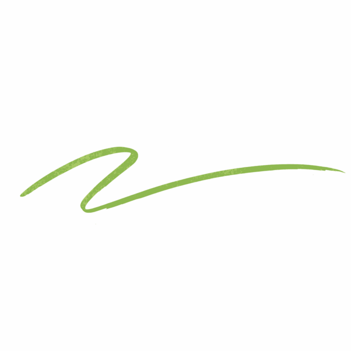 Liquid Eye Liner Lime Time 4 ml Make up Factory