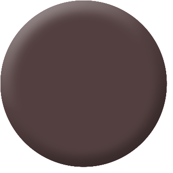 Magnetic Lips Dark Aubergine 4 g Make up Factory