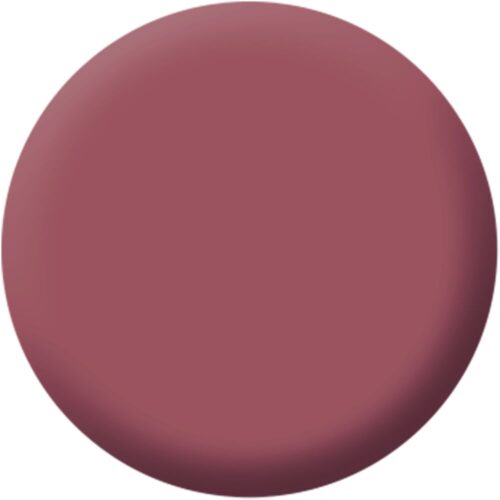 Magnetic Lips Pink Blush 4 g Make up Factory