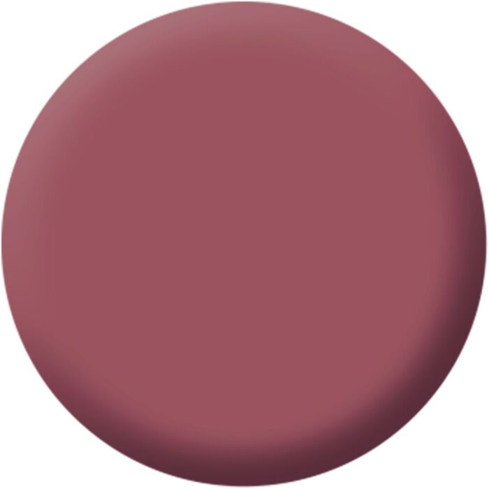 Magnetic Lips Pink Blush 4 g Make up Factory