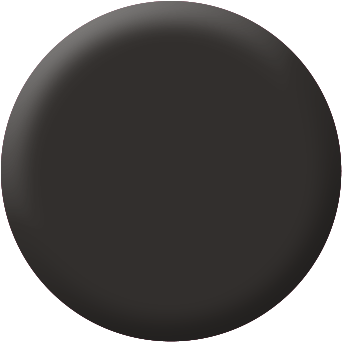 Magnetic Lips Timeless Black 4 g Make up Factory
